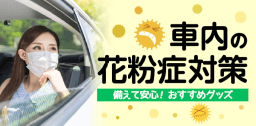 車内の花粉症対策