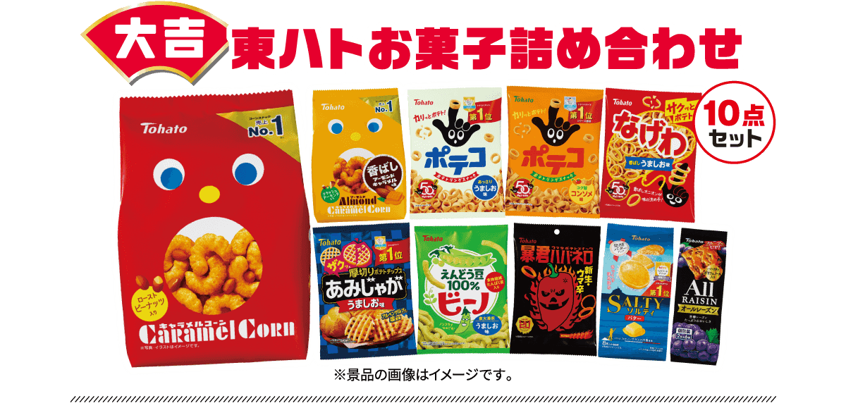 大吉 東ハトお菓子詰め合わせ10点セット
