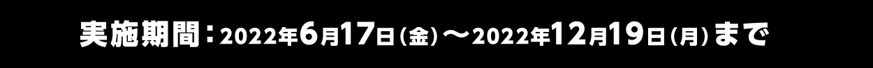 実施期間：2022年6月17日（金）～2022年12月19日（月）まで