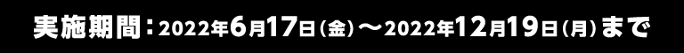 実施期間：2022年6月17日（金）～2022年12月19日（月）まで