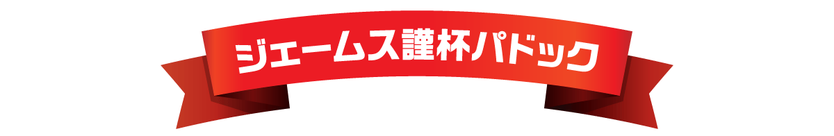 ジェームス謹杯パドック
