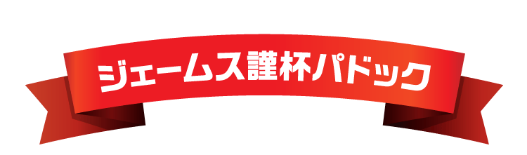ジェームス謹杯パドック