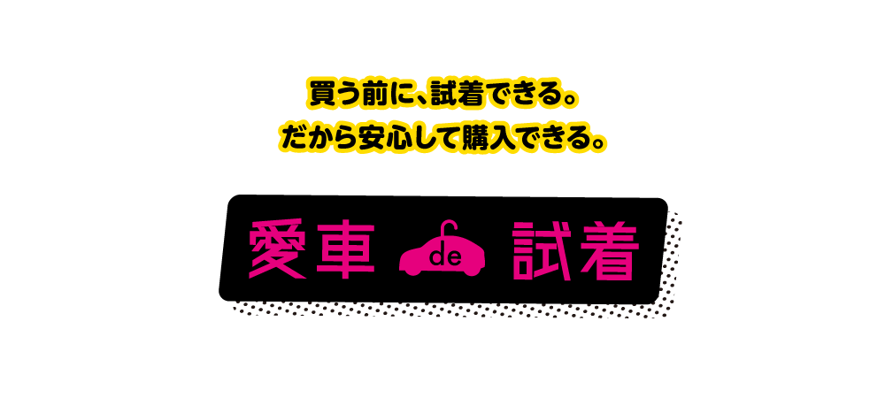 買う前に、試着できる。だから安心して購入できる。愛車de試着