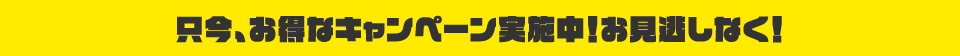 只今、お得なキャンペーン実施中！お見逃しなく！