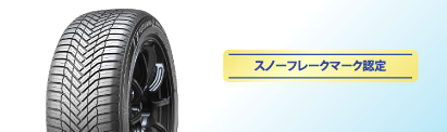 ブルーアースAS2