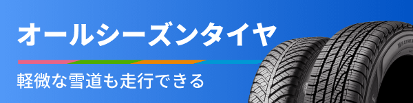 オールシーズンタイヤ 軽微な雪道も走行できる